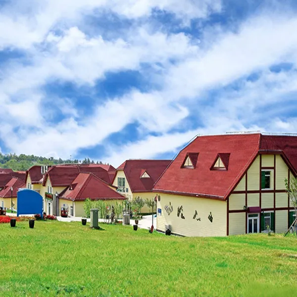 Qingdao Beer Festival Project