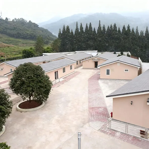 Ya'an Earthquake Relief and Elderly Home